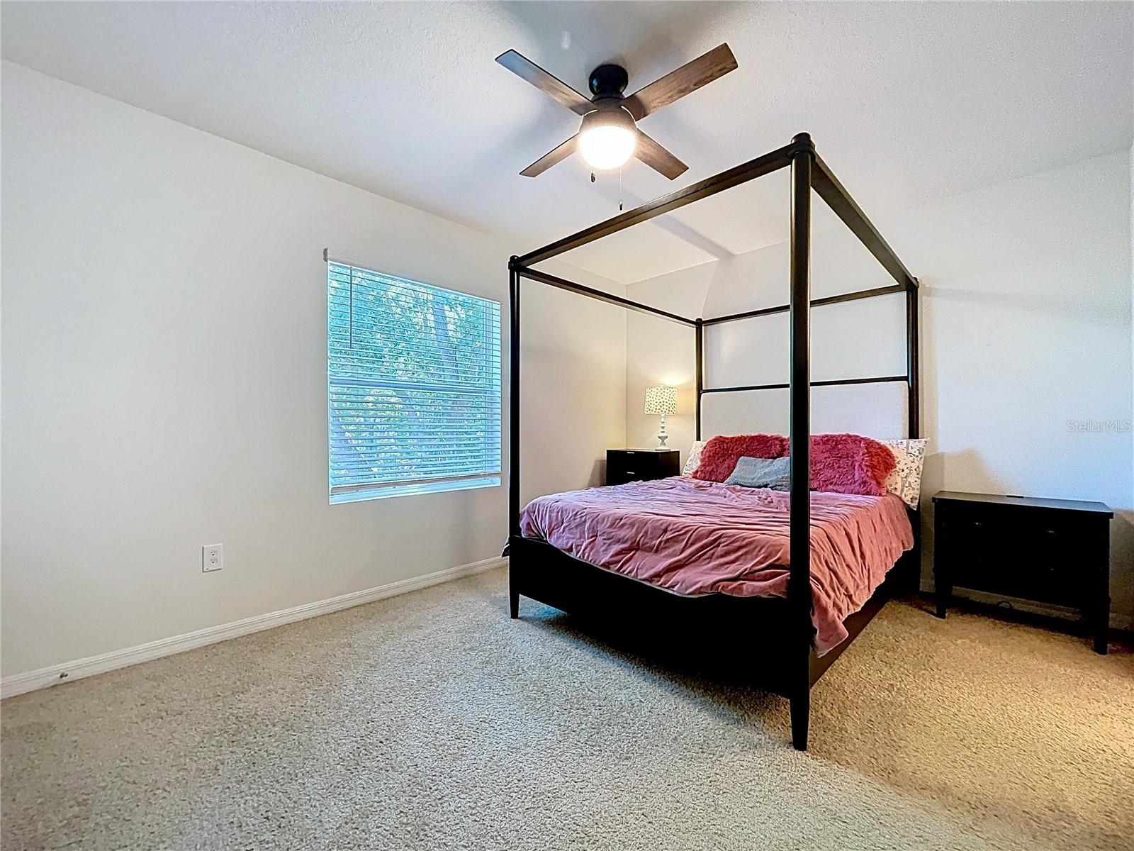 3313 PLEASANT WILLOW CT, BRANDON, FL — photo 21