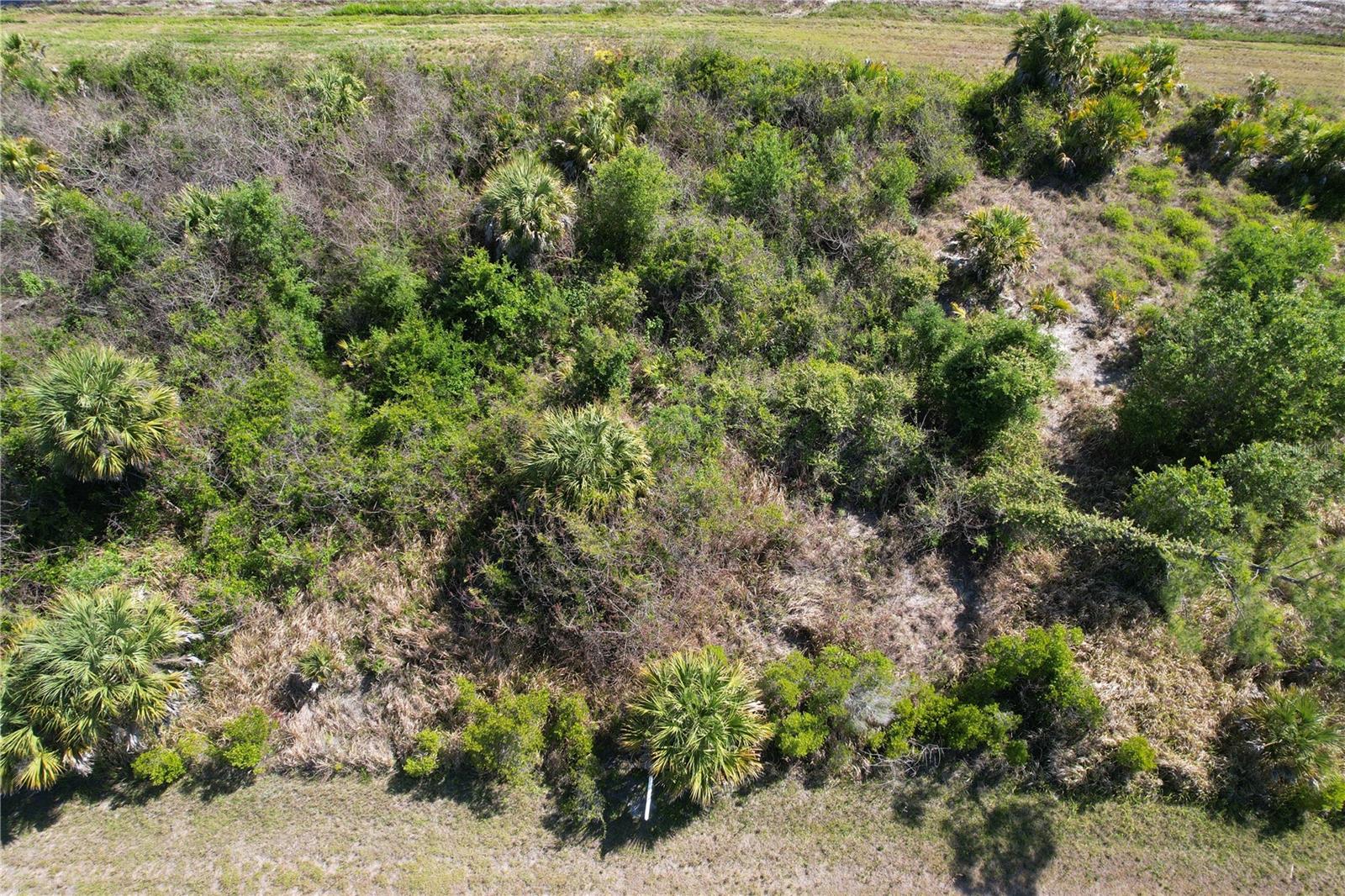13 MAGELLAN ST, NORTH PORT, FL — photo 7