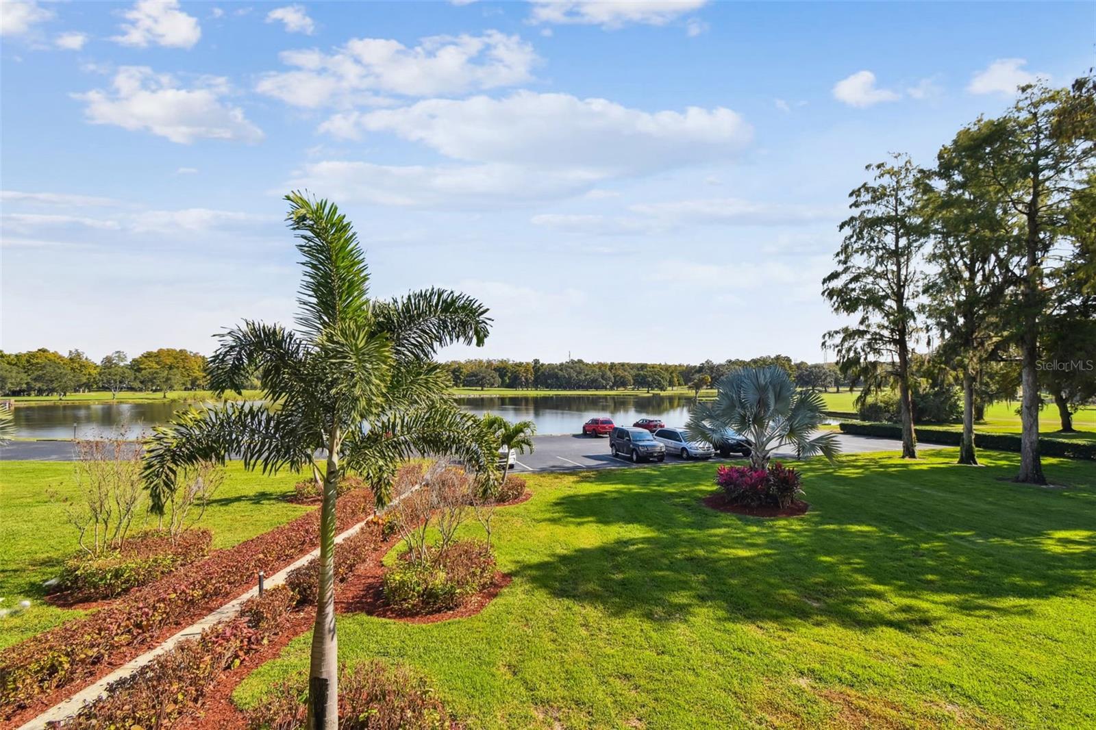 36750 US HIGHWAY 19 N #04221, PALM HARBOR, FL — photo 2