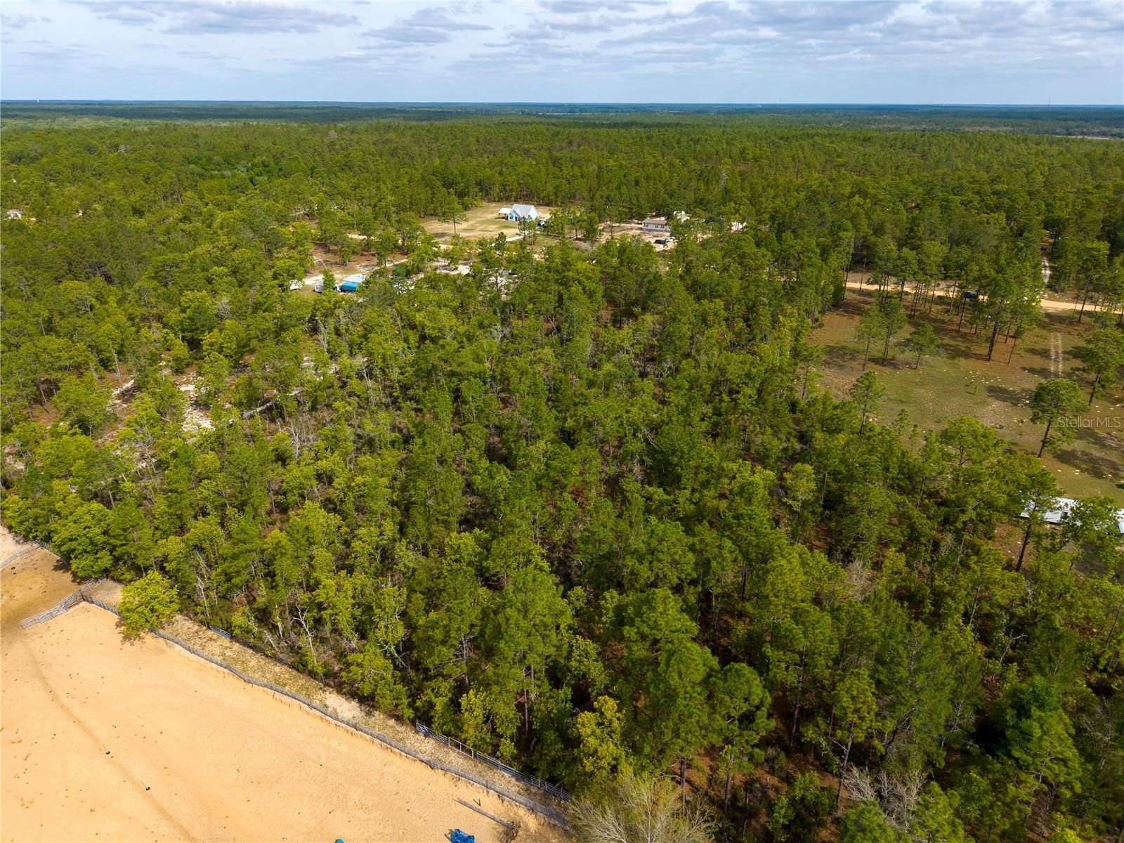 230 MELROSE LANDING DR, HAWTHORNE, FL — photo 12