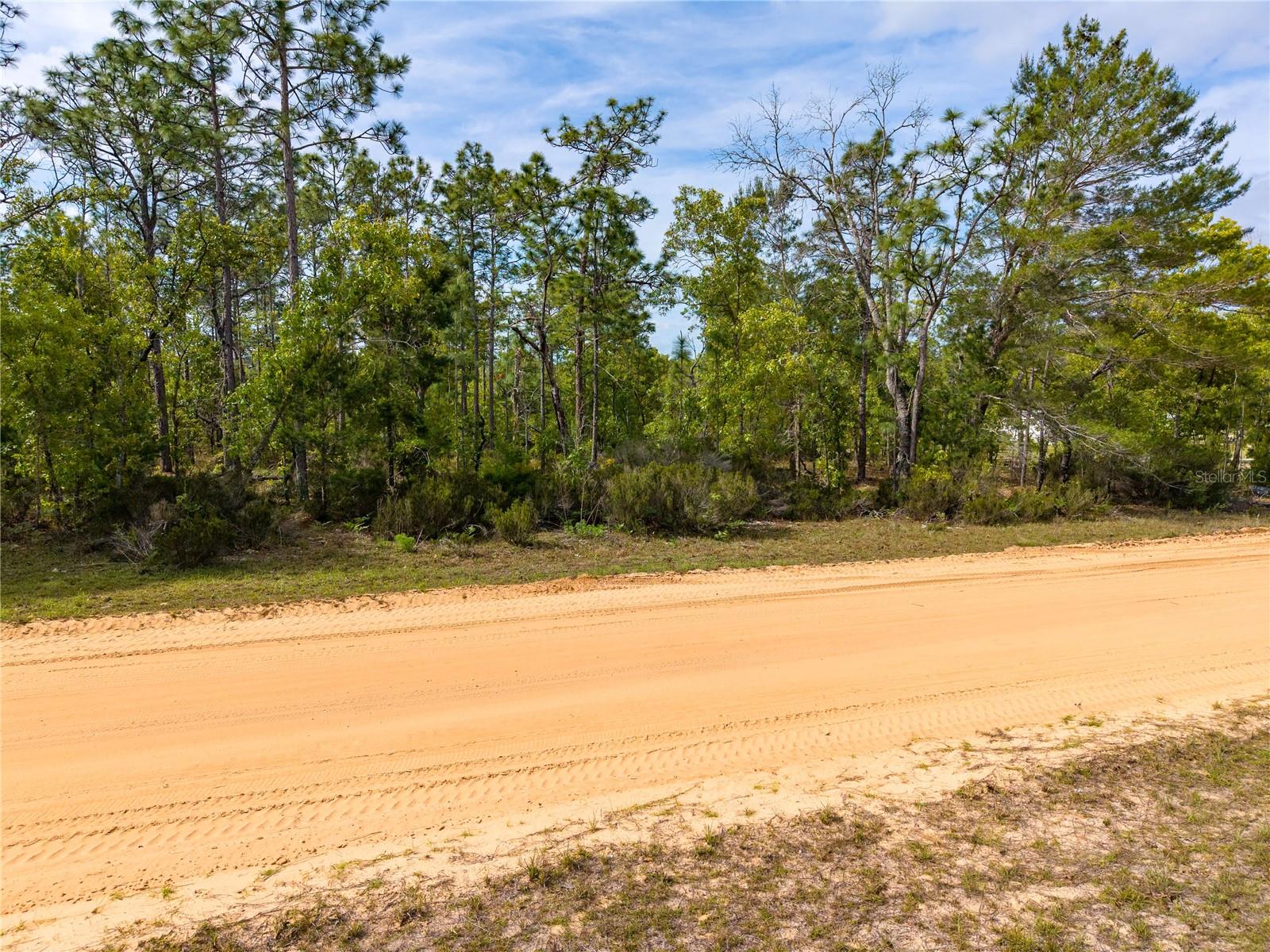 230 MELROSE LANDING DR, HAWTHORNE, FL — photo 18