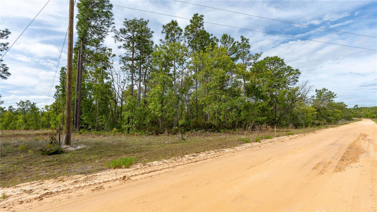 230 MELROSE LANDING DR, HAWTHORNE, FL — photo 21