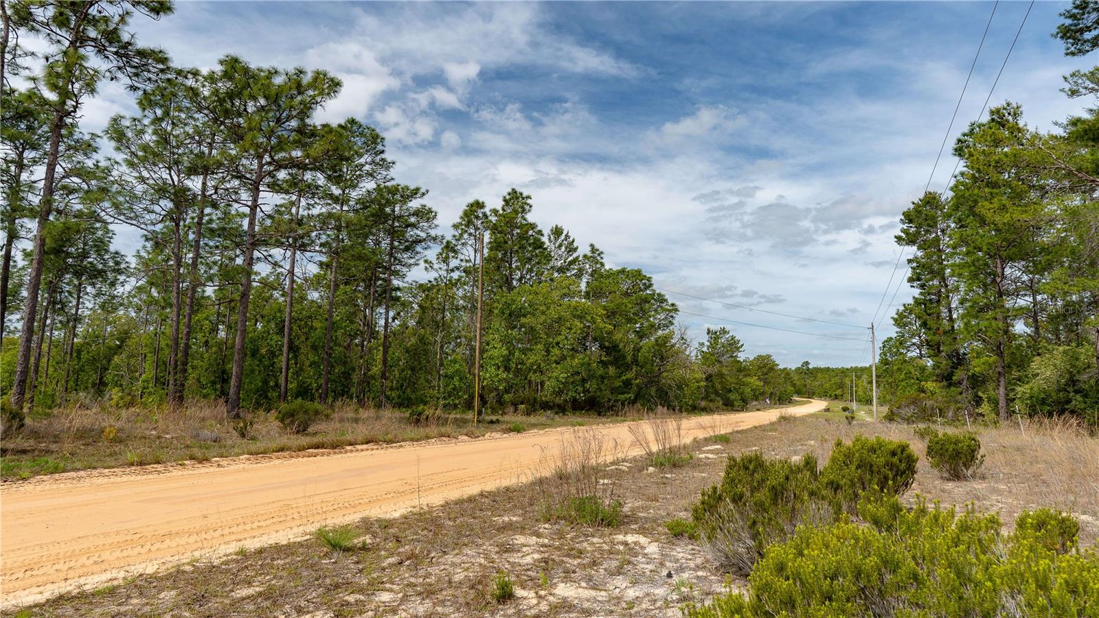 230 MELROSE LANDING DR, HAWTHORNE, FL — photo 42