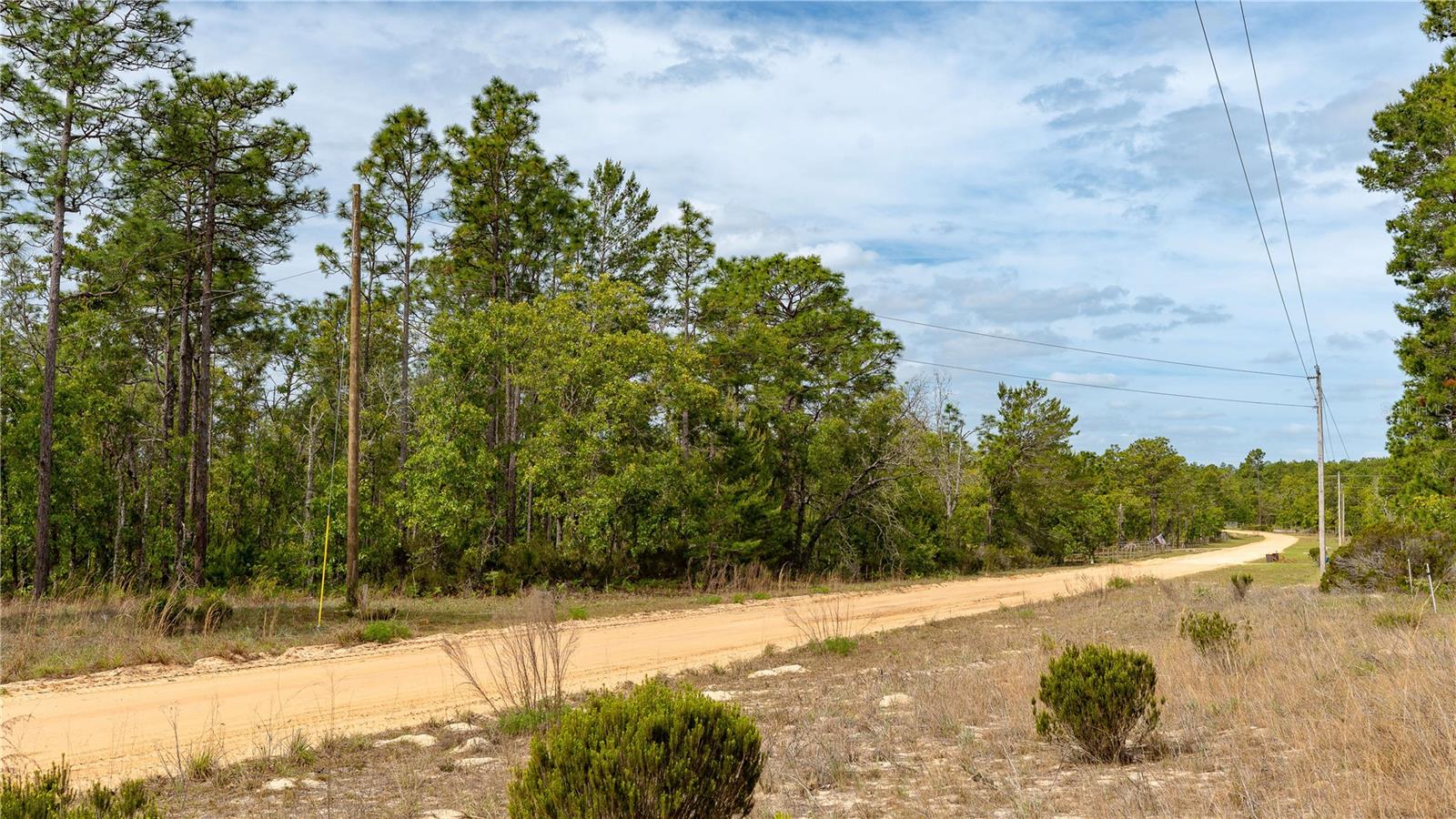 230 MELROSE LANDING DR, HAWTHORNE, FL — photo 43