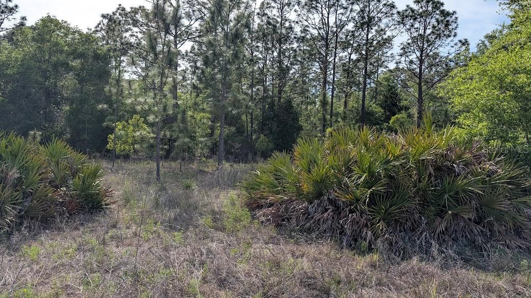 Lot 88 SW 152 ND CT, OCALA, FL — photo 7