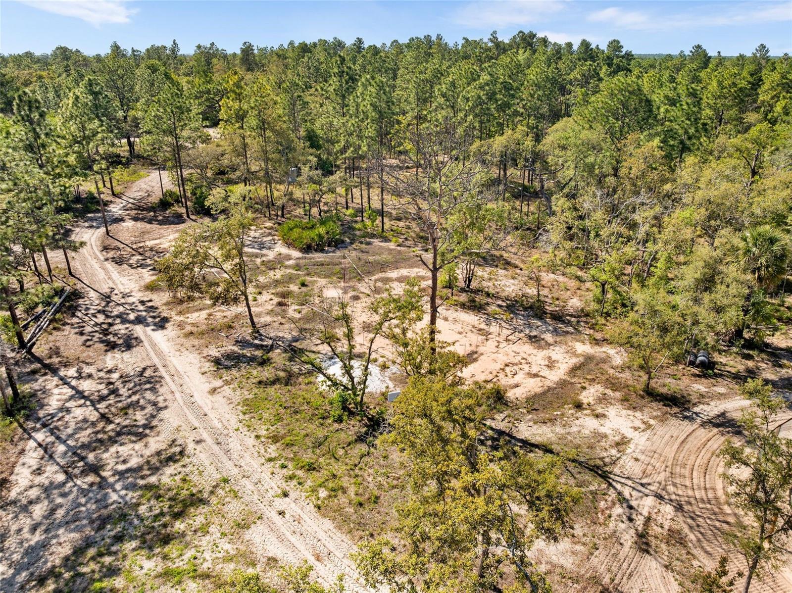 25723 BAREVA RD, WEEKI WACHEE, FL — photo 7