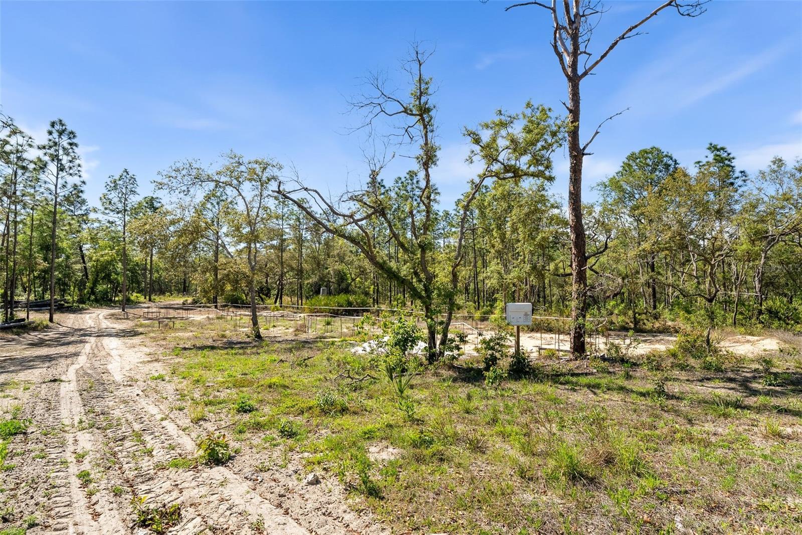 25723 BAREVA RD, WEEKI WACHEE, FL — photo 23
