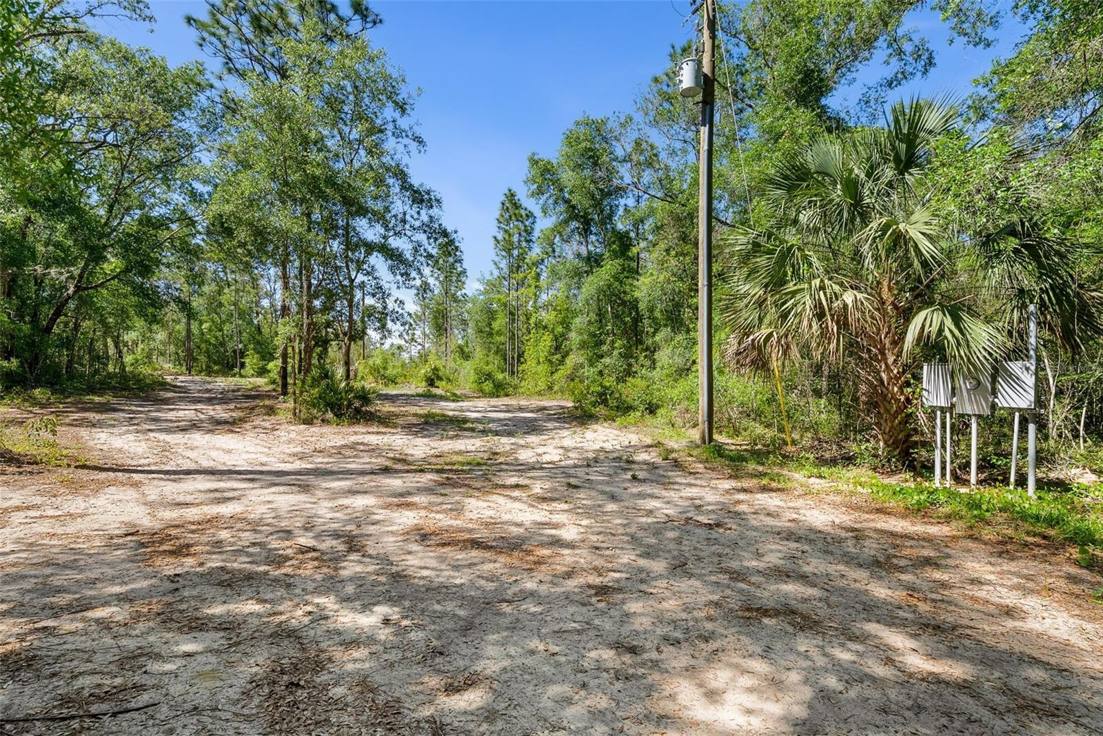 25723 BAREVA RD, WEEKI WACHEE, FL — photo 52