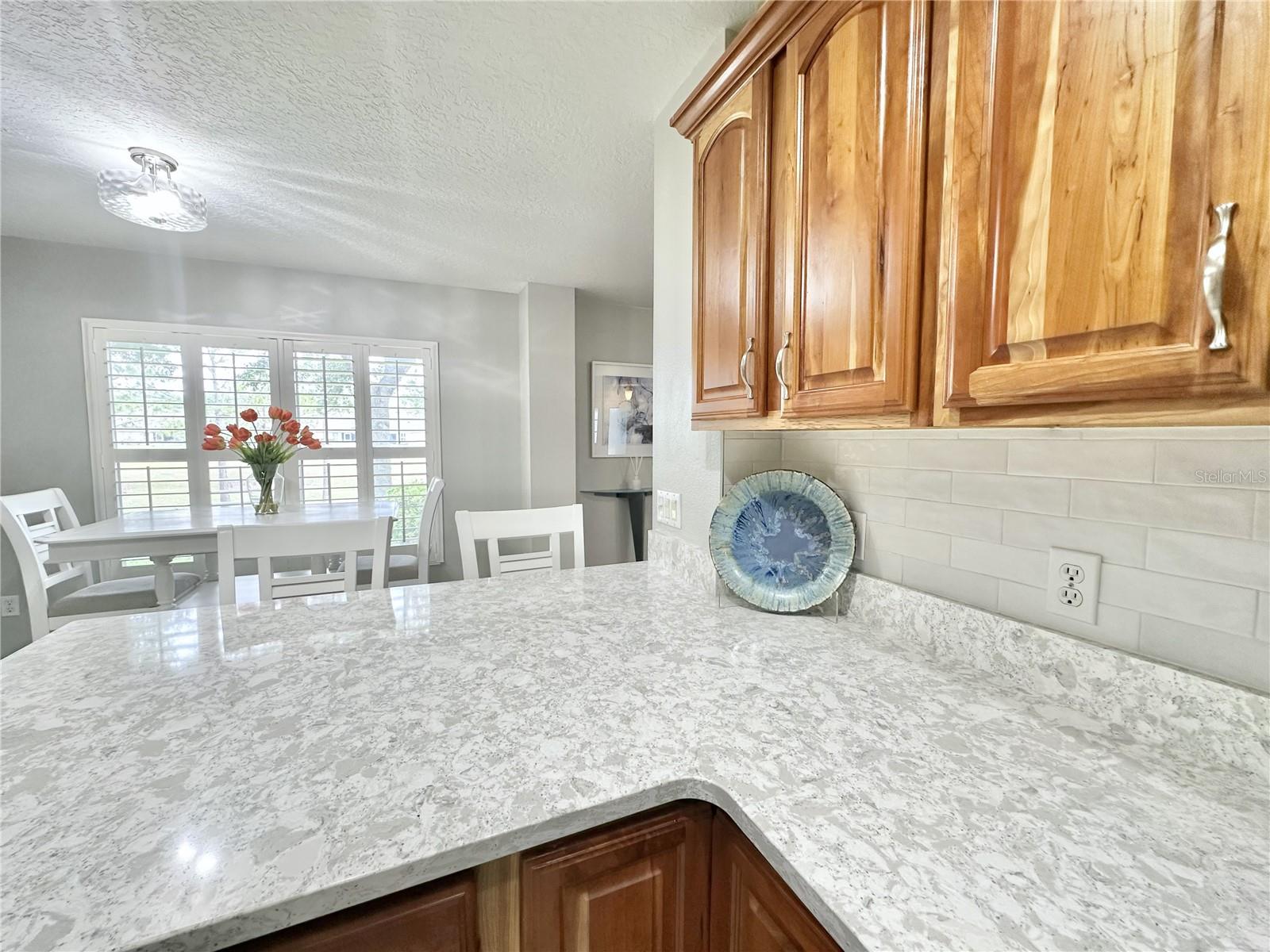 4313 ARLINGTON RIDGE BLVD, LEESBURG, FL — photo 33