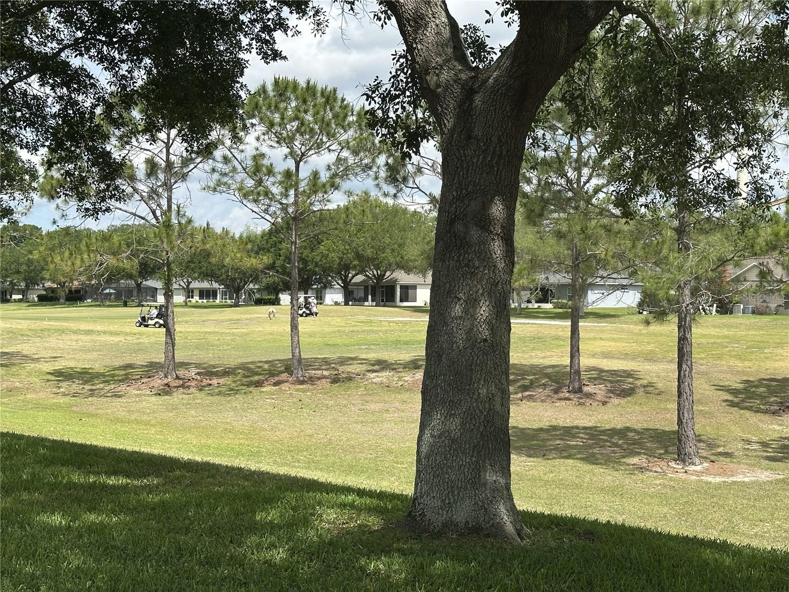 4313 ARLINGTON RIDGE BLVD, LEESBURG, FL — photo 109