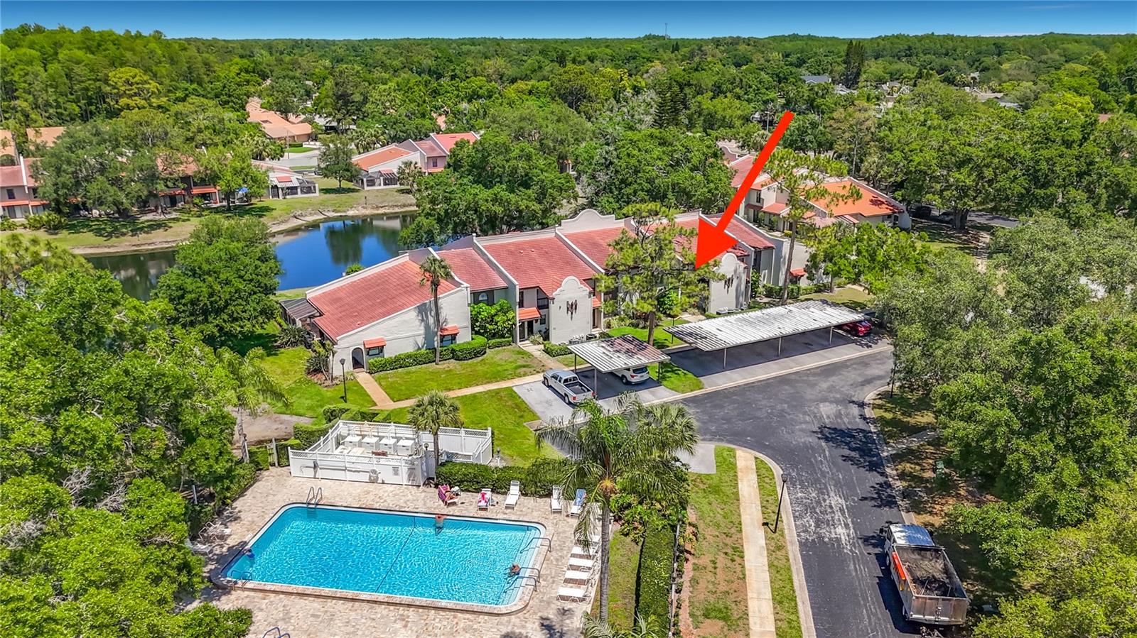 3505 TARPON WOODS BLVD #P408, PALM HARBOR, FL — photo 20