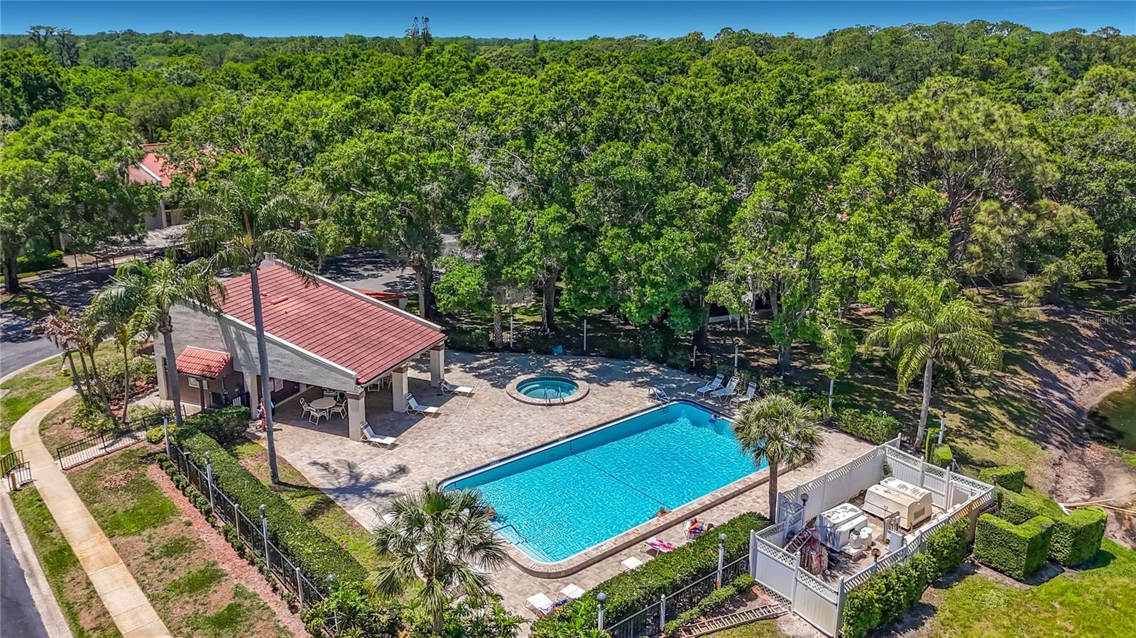 3505 TARPON WOODS BLVD #P408, PALM HARBOR, FL — photo 21
