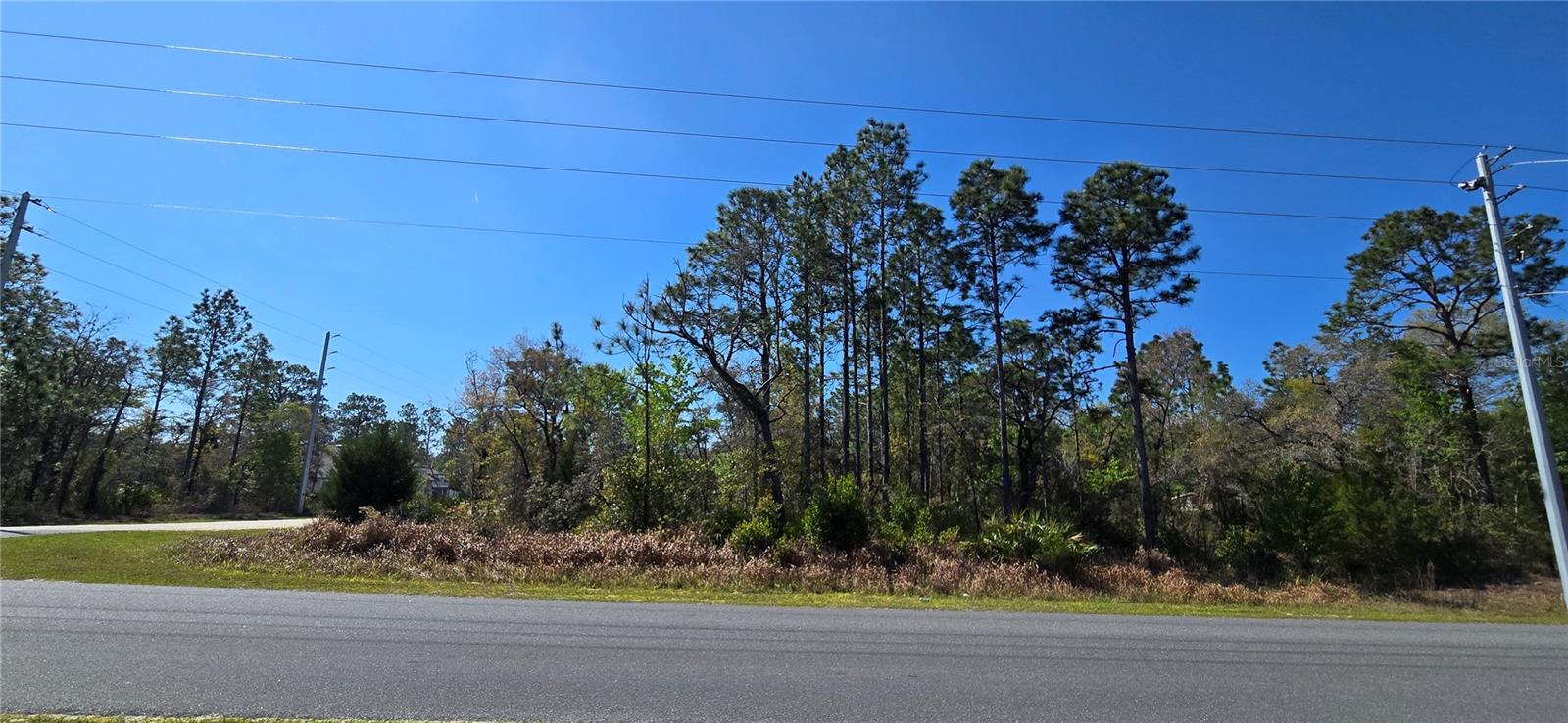 12398 RUFFED GROUSE RD, WEEKI WACHEE, FL