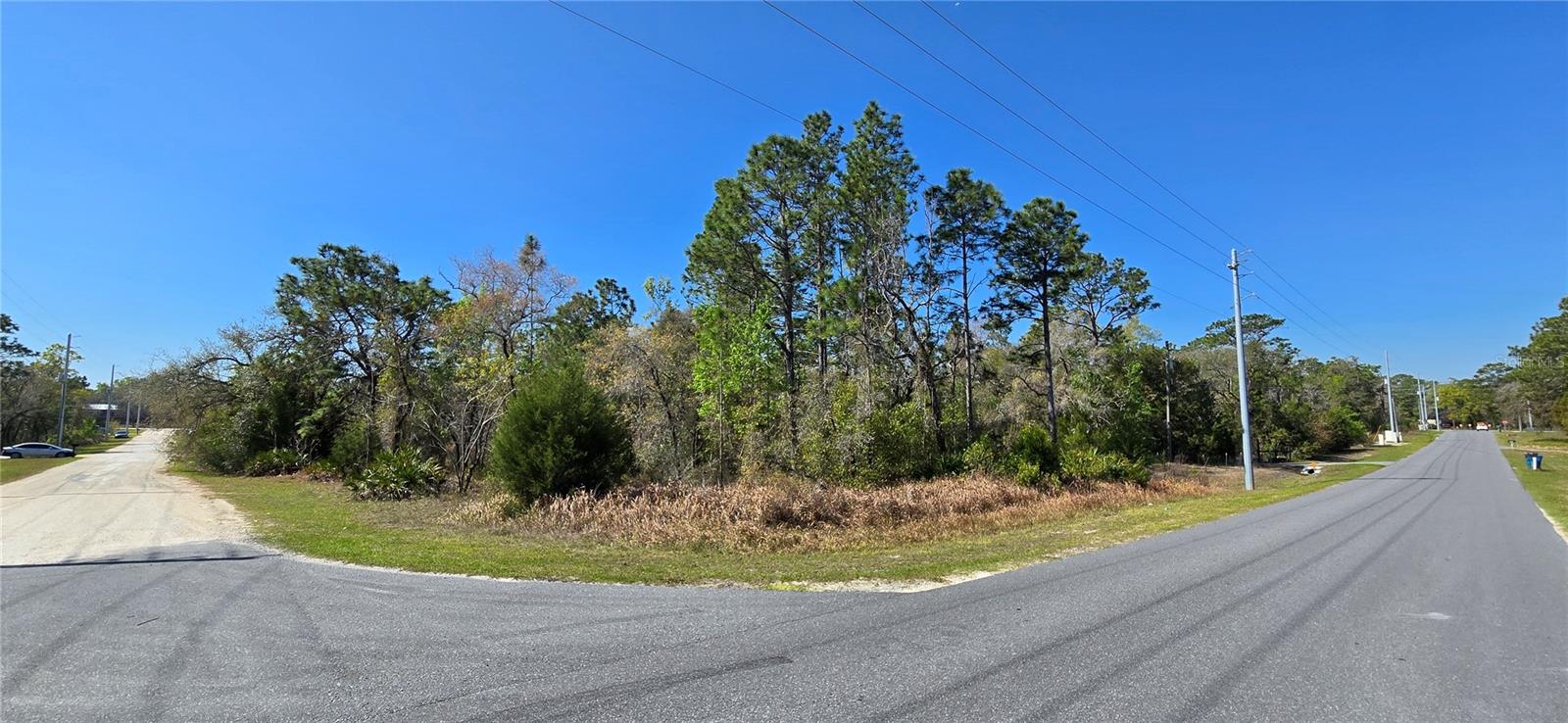 12398 RUFFED GROUSE RD, WEEKI WACHEE, FL — photo 2