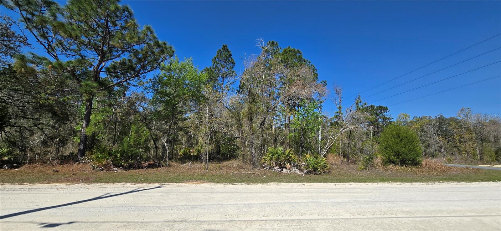 12398 RUFFED GROUSE RD, WEEKI WACHEE, FL — photo 3