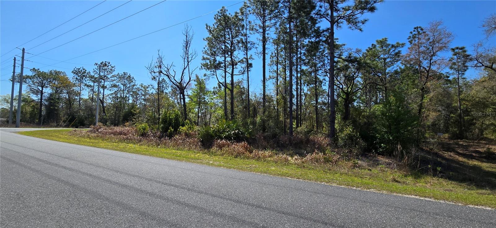 12398 RUFFED GROUSE RD, WEEKI WACHEE, FL — photo 4