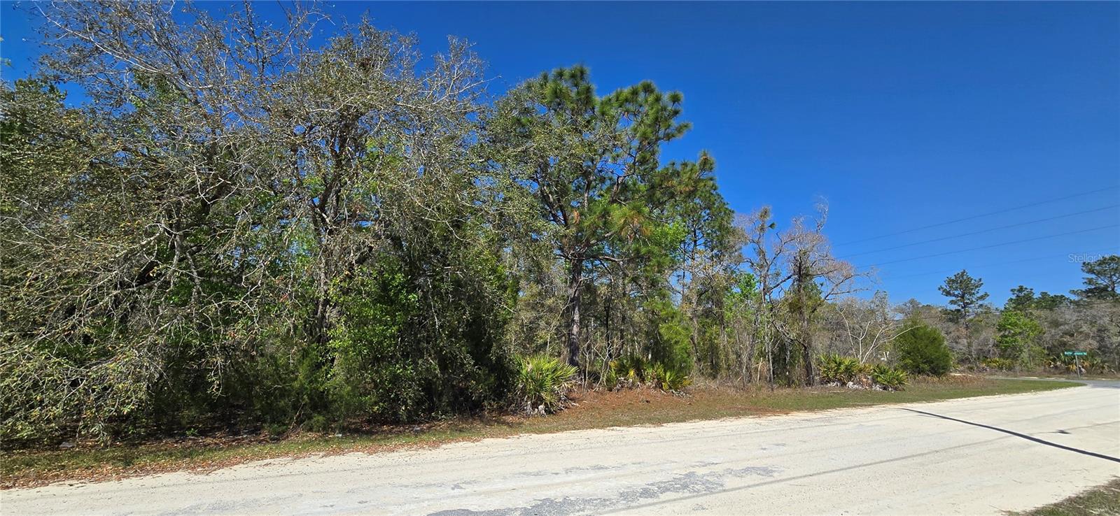 12398 RUFFED GROUSE RD, WEEKI WACHEE, FL — photo 5