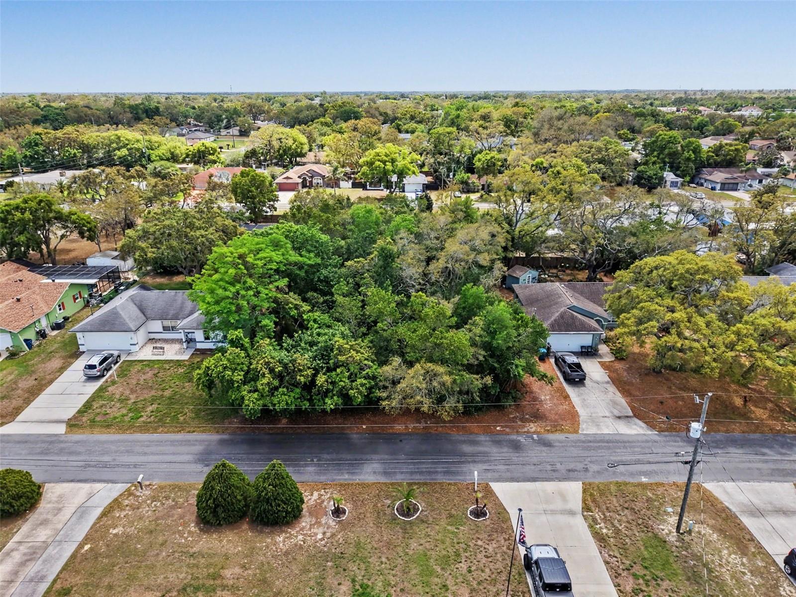 6084 PIEDMONT DR, SPRING HILL, FL — photo 3