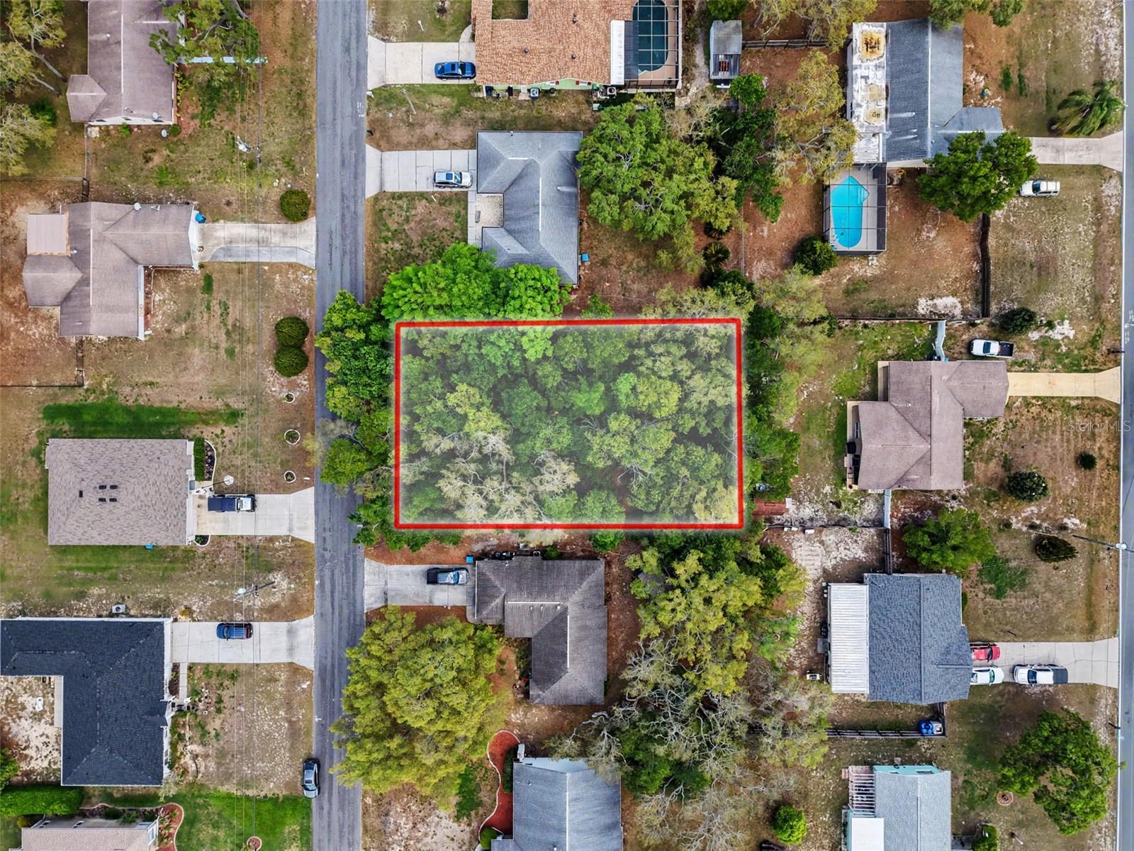 6084 PIEDMONT DR, SPRING HILL, FL — photo 8