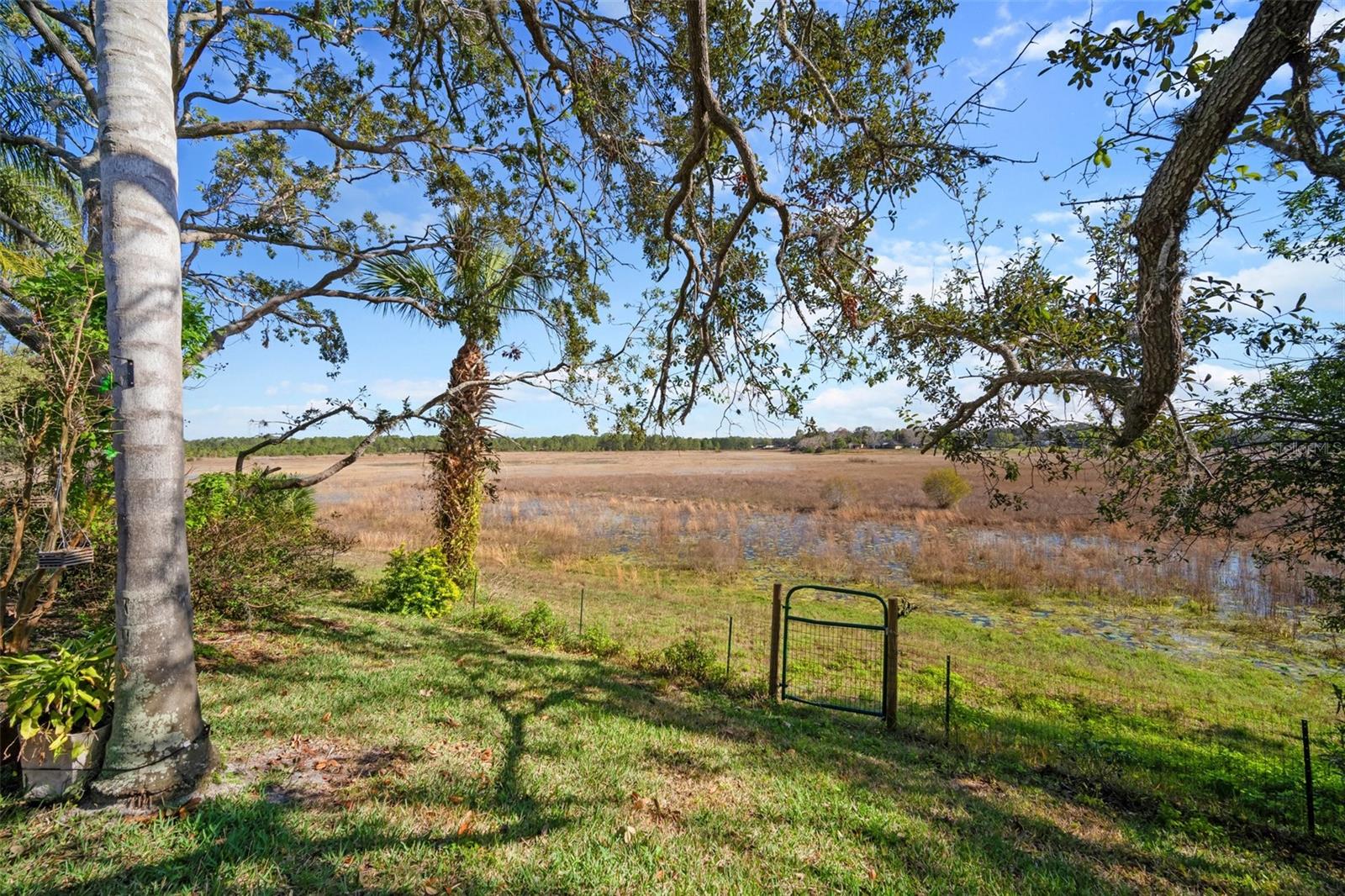 1472 IVYDALE RD, SPRING HILL, FL — photo 35
