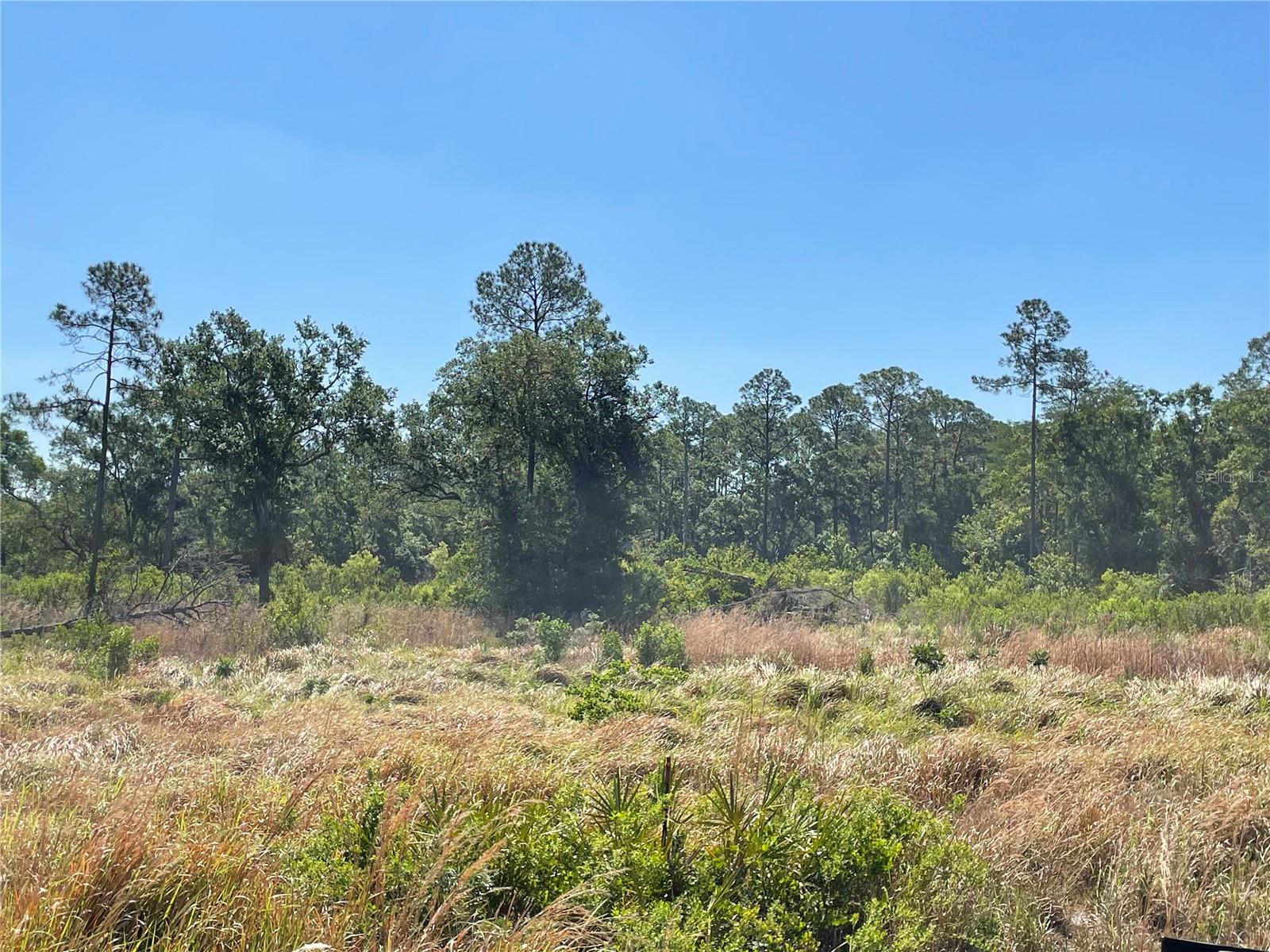 AVONWOOD, TAMPA, FL