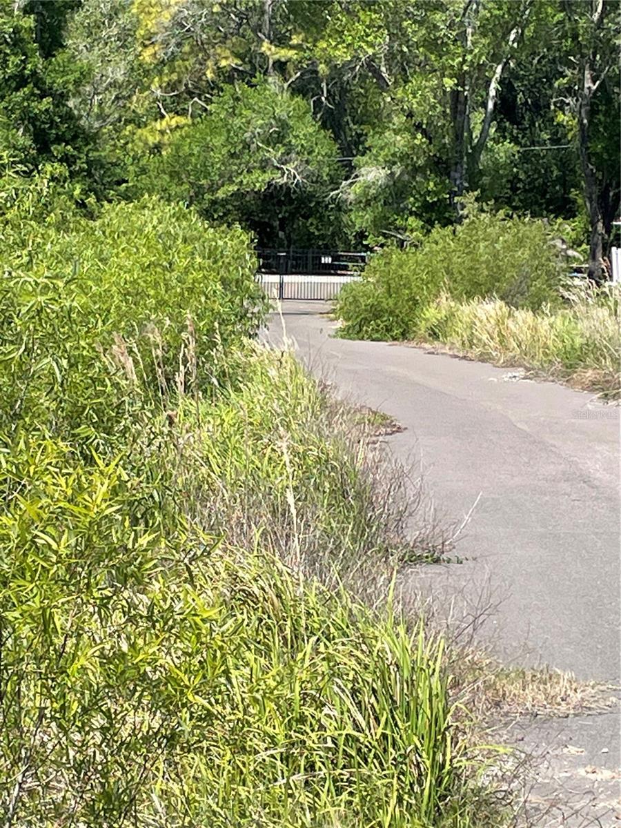 AVONWOOD, TAMPA, FL — photo 10
