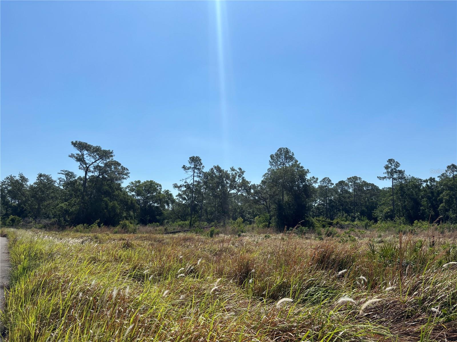 AVONWOOD, TAMPA, FL — photo 13
