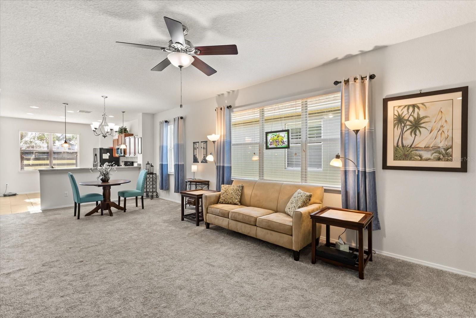 22024 BELGIAN CT, MOUNT DORA, FL — photo 14