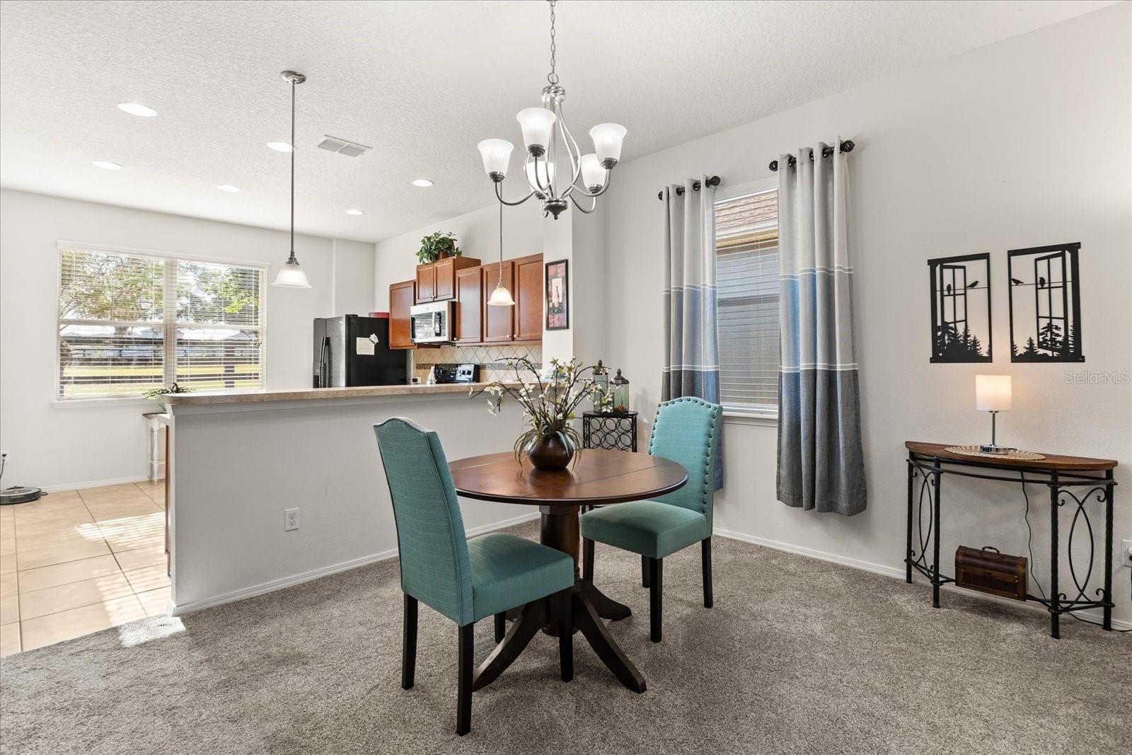 22024 BELGIAN CT, MOUNT DORA, FL — photo 17