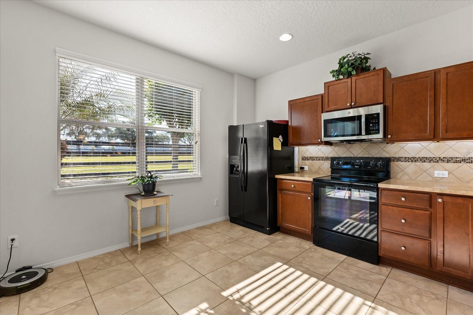 22024 BELGIAN CT, MOUNT DORA, FL — photo 26