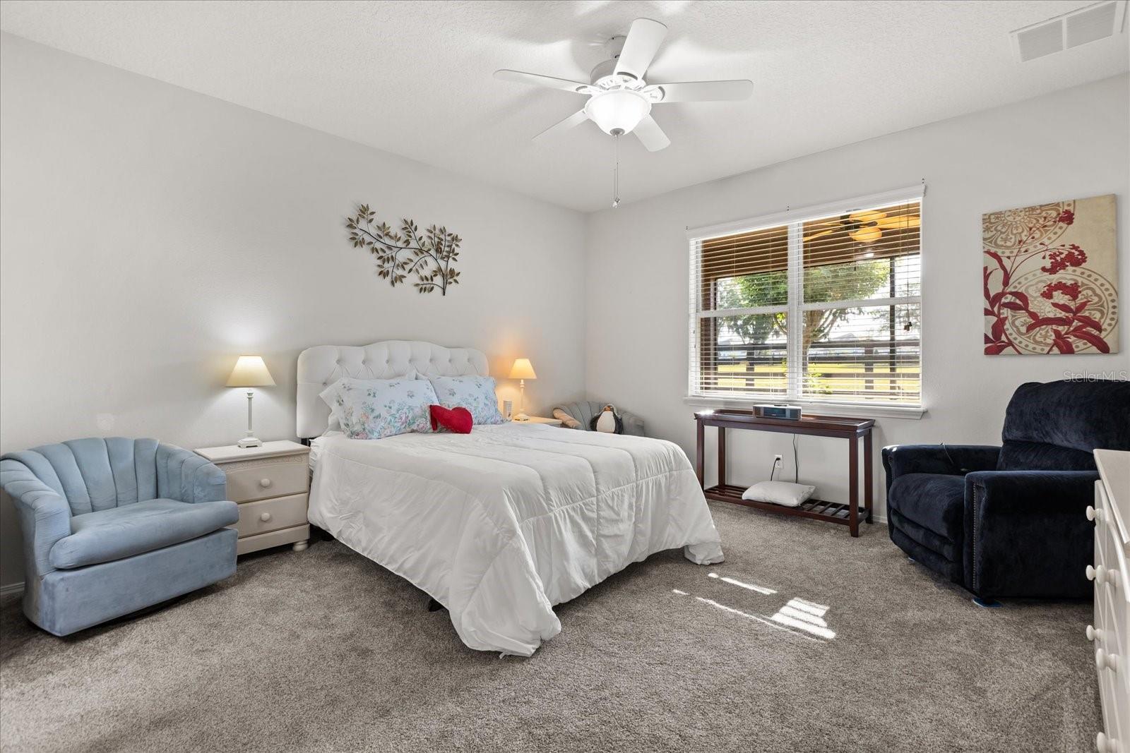 22024 BELGIAN CT, MOUNT DORA, FL — photo 33