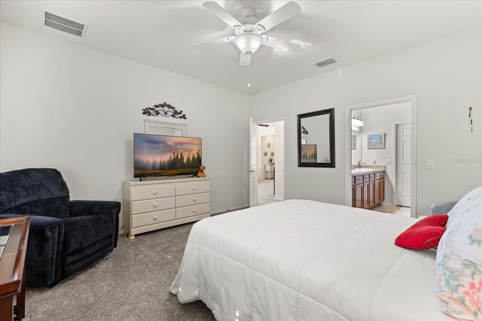 22024 BELGIAN CT, MOUNT DORA, FL — photo 35