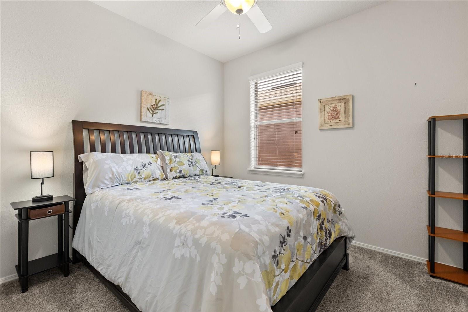 22024 BELGIAN CT, MOUNT DORA, FL — photo 44