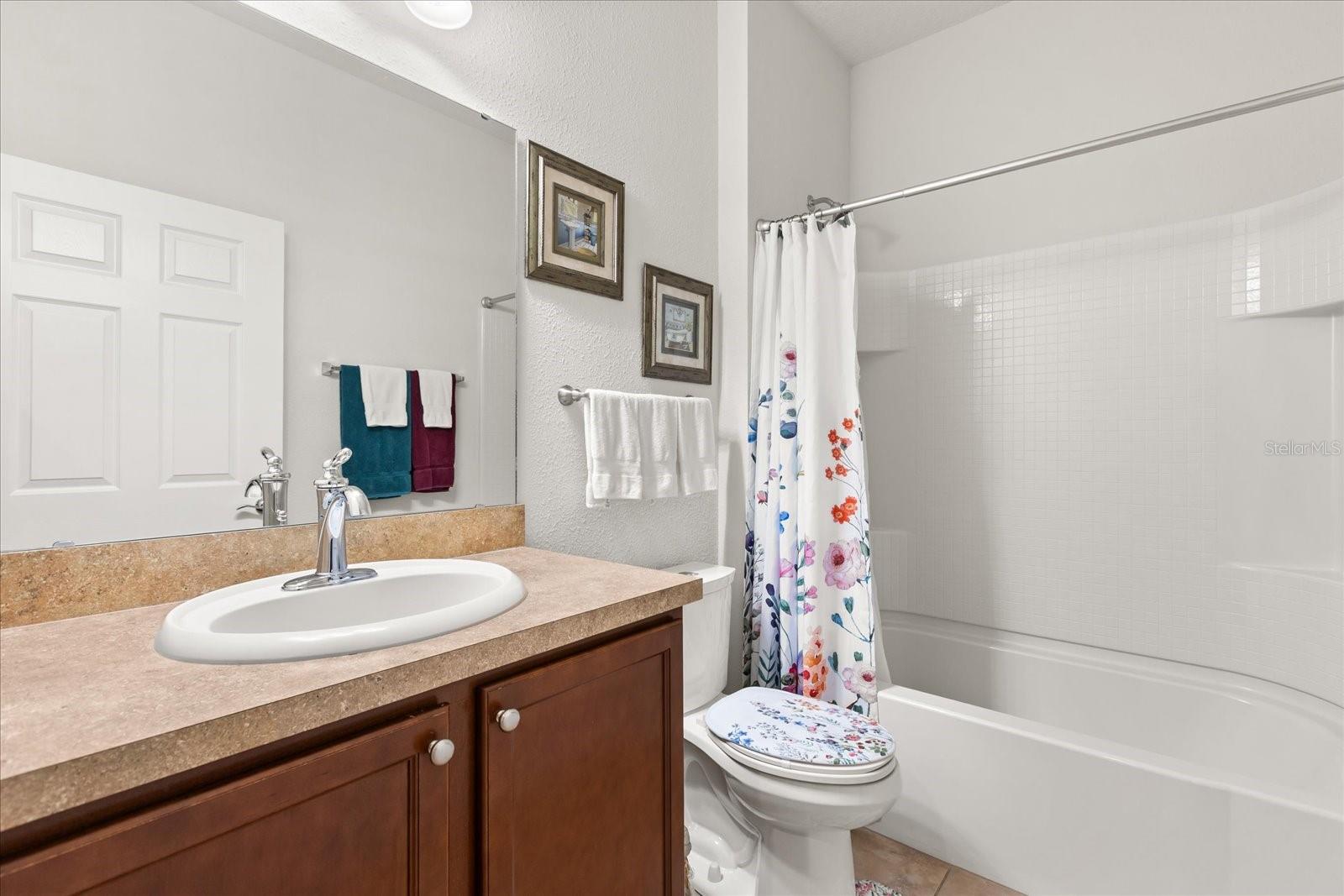 22024 BELGIAN CT, MOUNT DORA, FL — photo 46