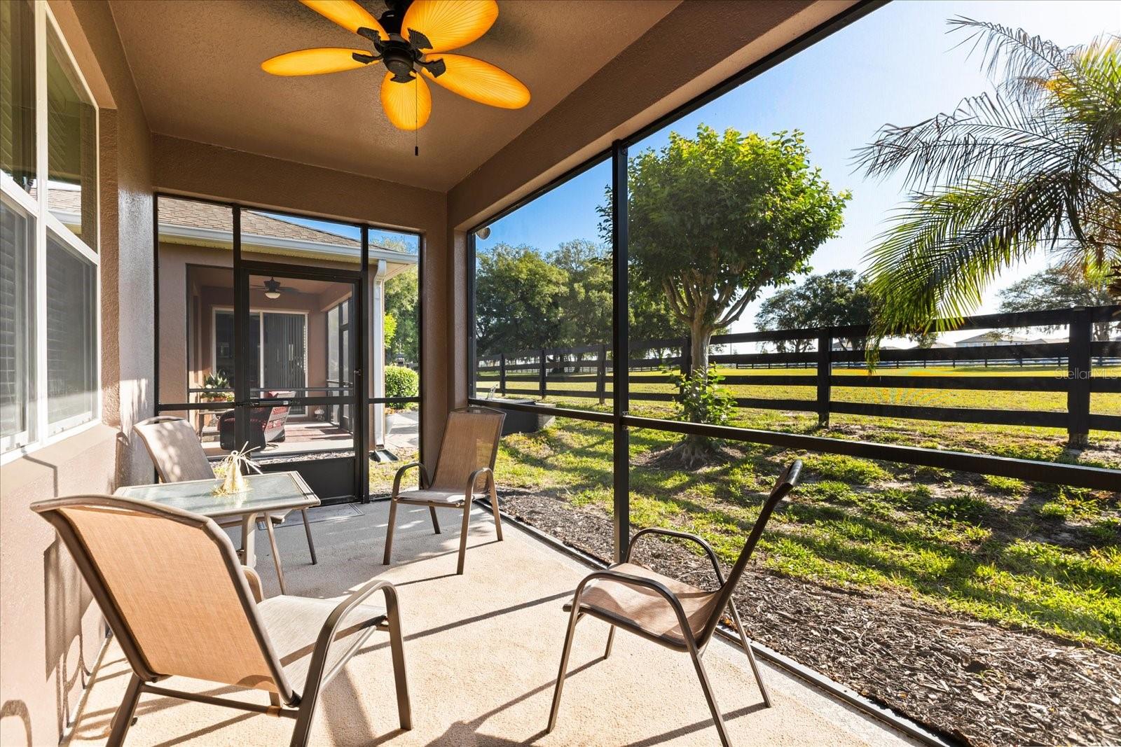 22024 BELGIAN CT, MOUNT DORA, FL — photo 49