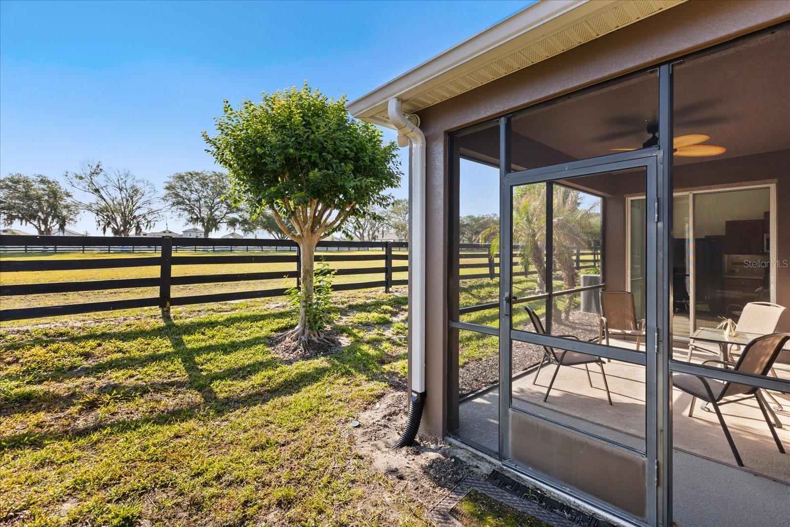 22024 BELGIAN CT, MOUNT DORA, FL — photo 53