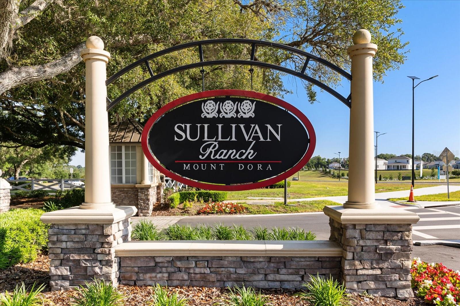 22024 BELGIAN CT, MOUNT DORA, FL — photo 60