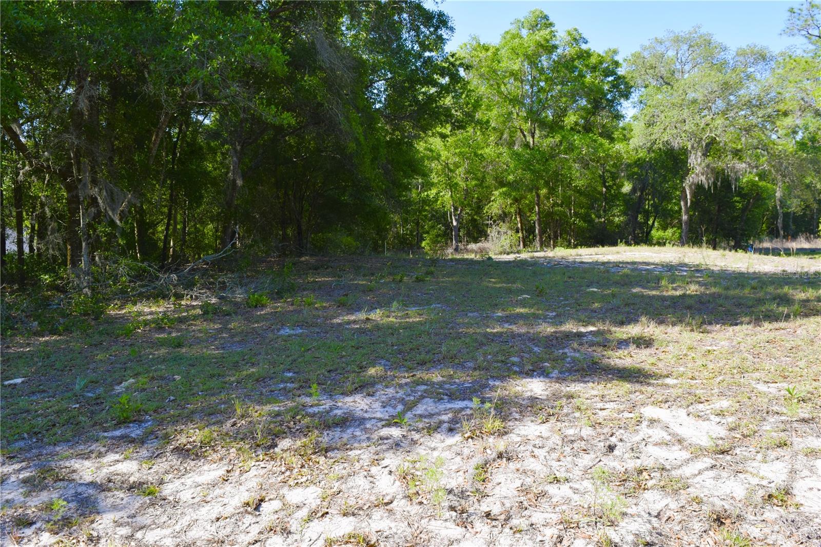TBD SW 34 ST, OCALA, FL — photo 3
