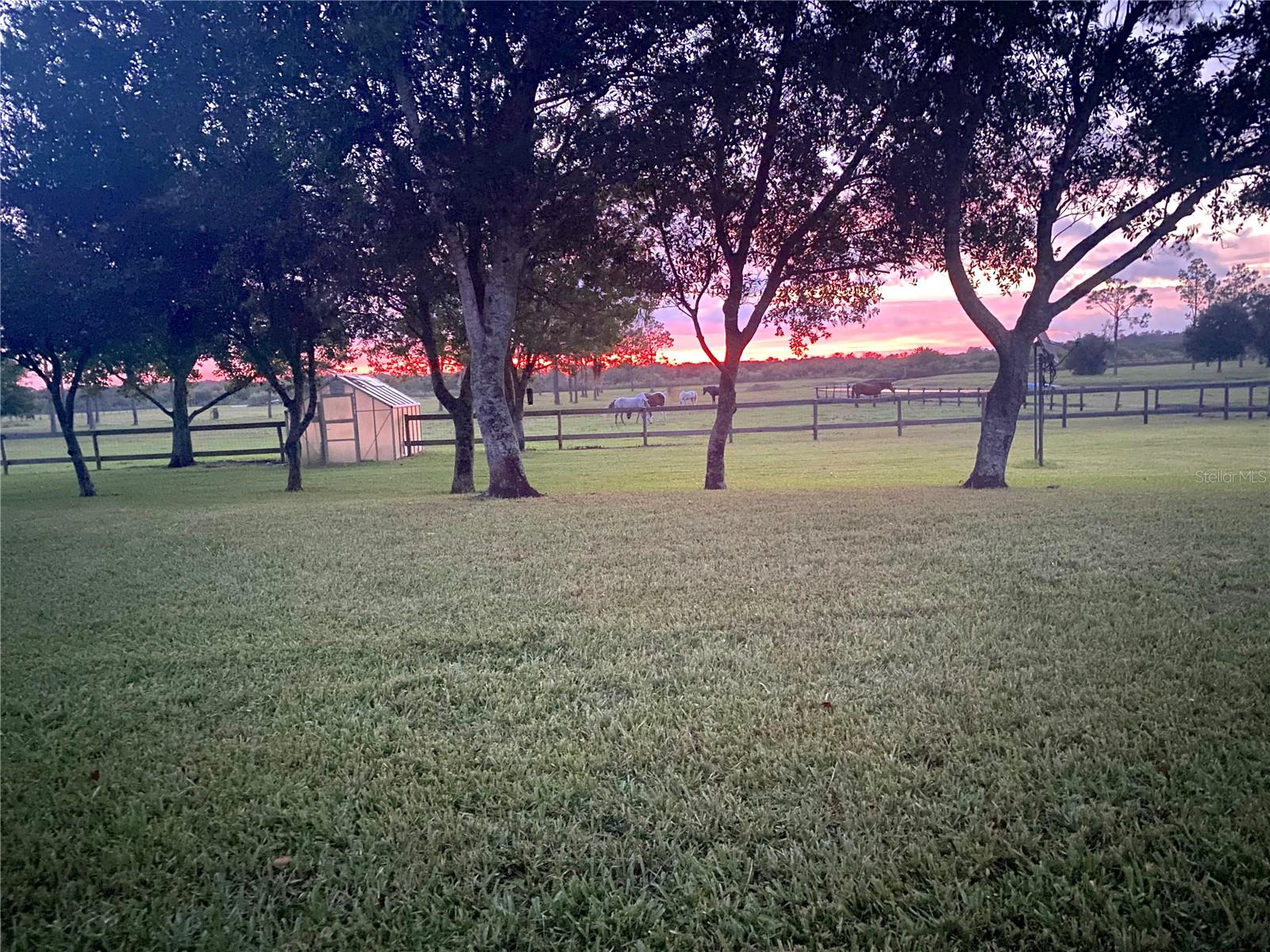 3046 N BOWDEN RD, AVON PARK, FL — photo 19