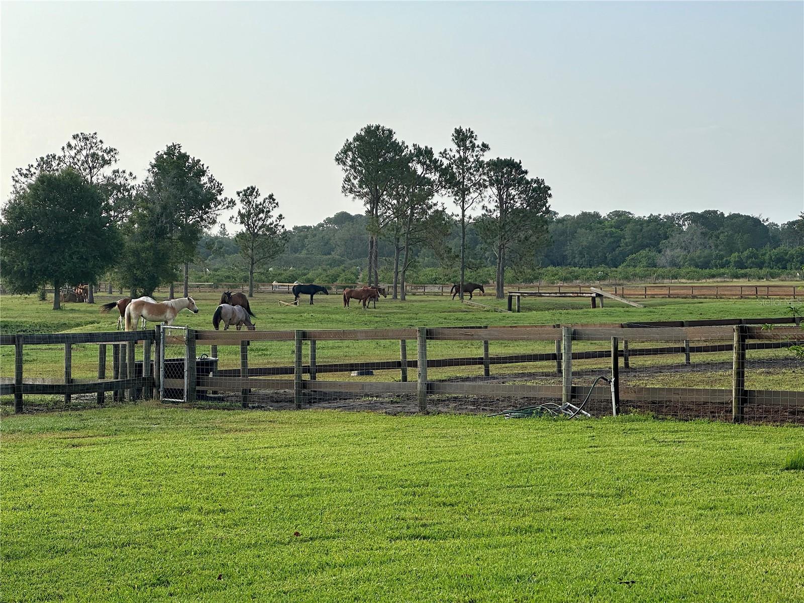 3046 N BOWDEN RD, AVON PARK, FL — photo 24