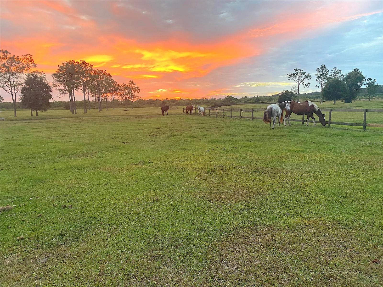 3046 N BOWDEN RD, AVON PARK, FL — photo 28