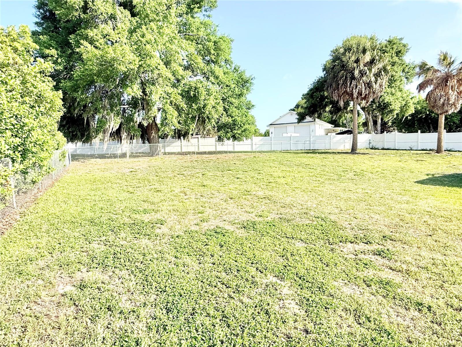 3155 LAKESHORE DR, MOUNT DORA, FL — photo 58