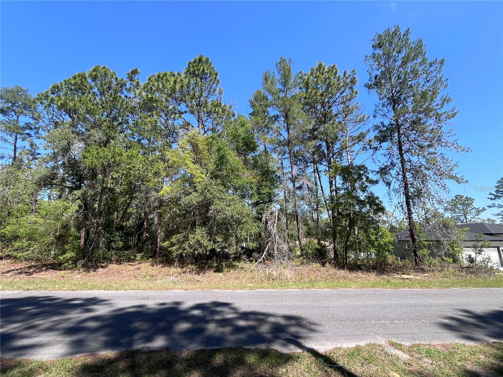 8000 N POCONO DR, CITRUS SPRINGS, FL