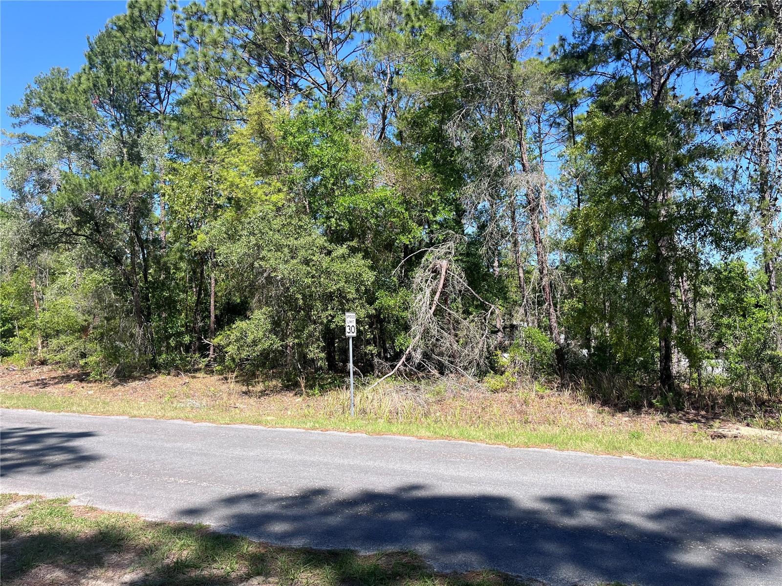 8000 N POCONO DR, CITRUS SPRINGS, FL — photo 2