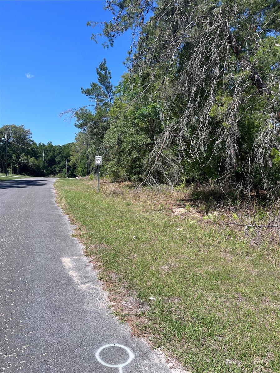 8000 N POCONO DR, CITRUS SPRINGS, FL — photo 3
