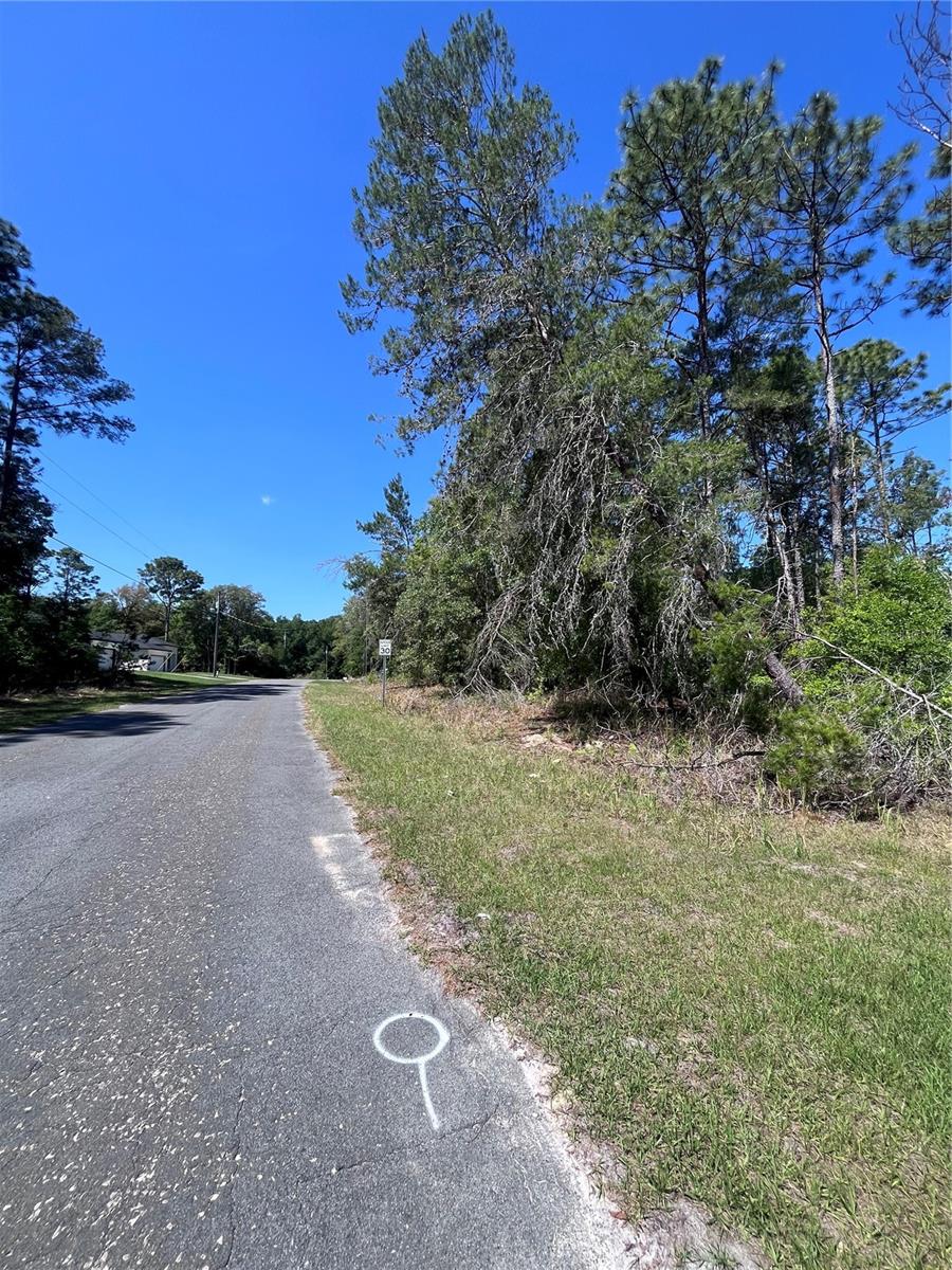 8000 N POCONO DR, CITRUS SPRINGS, FL — photo 4