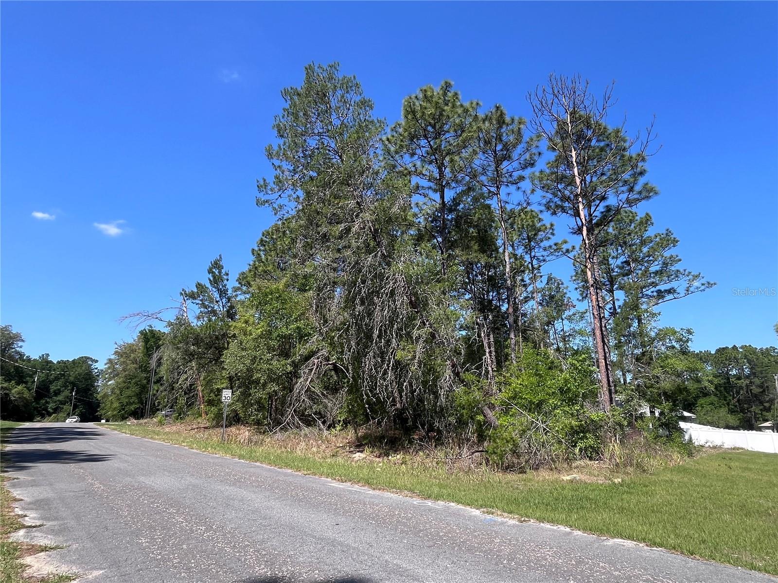 8000 N POCONO DR, CITRUS SPRINGS, FL — photo 5