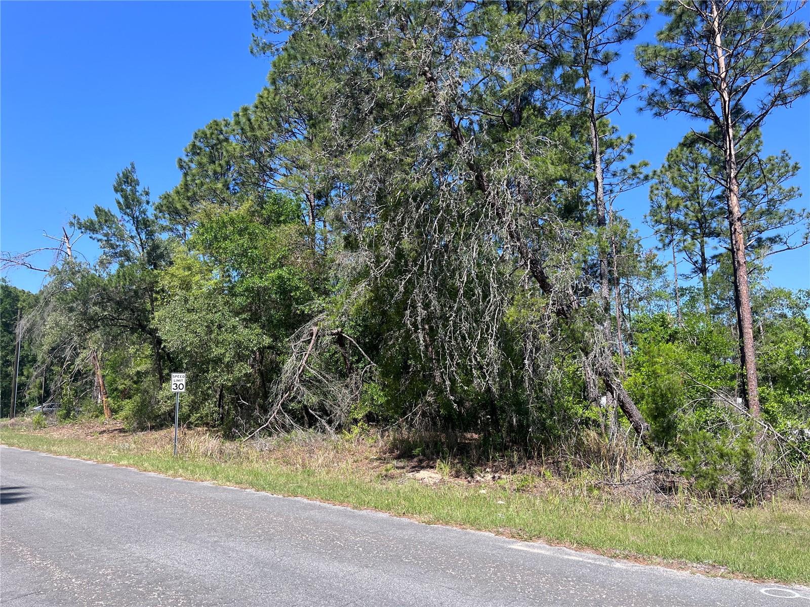 8000 N POCONO DR, CITRUS SPRINGS, FL — photo 6