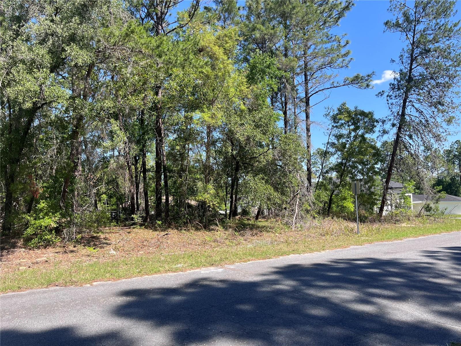 8000 N POCONO DR, CITRUS SPRINGS, FL — photo 7