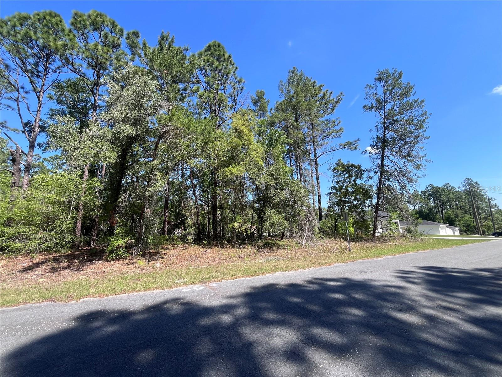 8000 N POCONO DR, CITRUS SPRINGS, FL — photo 8
